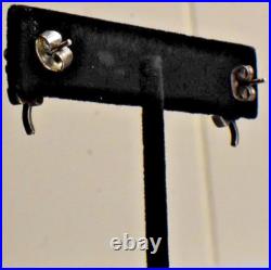 Blue Opal Flower Earrings Darrell Cadman Navajo Sterling Silver