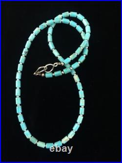 Blue Turquoise Tube Navajo Sterling Silver Necklace 20 10009