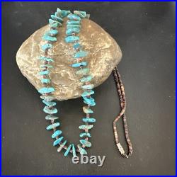 Kingman Turquoise Shell Navajo Sterling Silver Necklace 28 17398