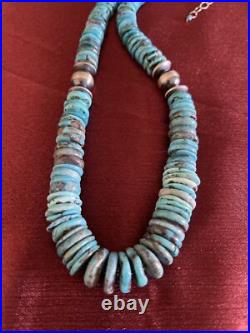 Native American Sterling Silver Turquoise Necklace