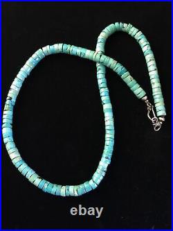 Robin Egg Blue Turquoise Heishi Navajo Sterling Silver Necklace 20 (01755)