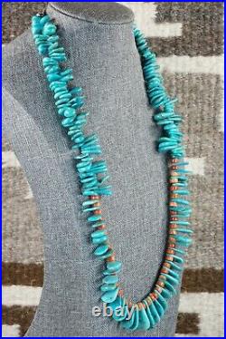 Turquoise, Spiny Oyster & Sterling Silver Necklace Native American