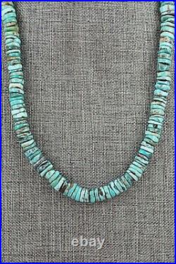 Turquoise & Sterling Silver Necklace 18 Doreen Jake